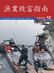 渔业致富指南